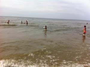Connex Coaching: summer workshops